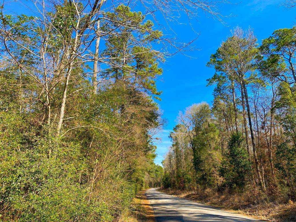 000 Dabney Bottom Rd - Photo 1