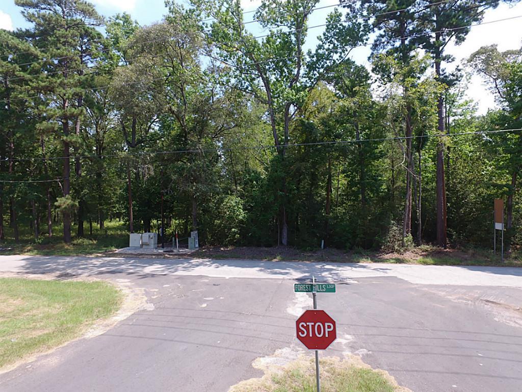 566 Forest Hills Loop - Photo 1