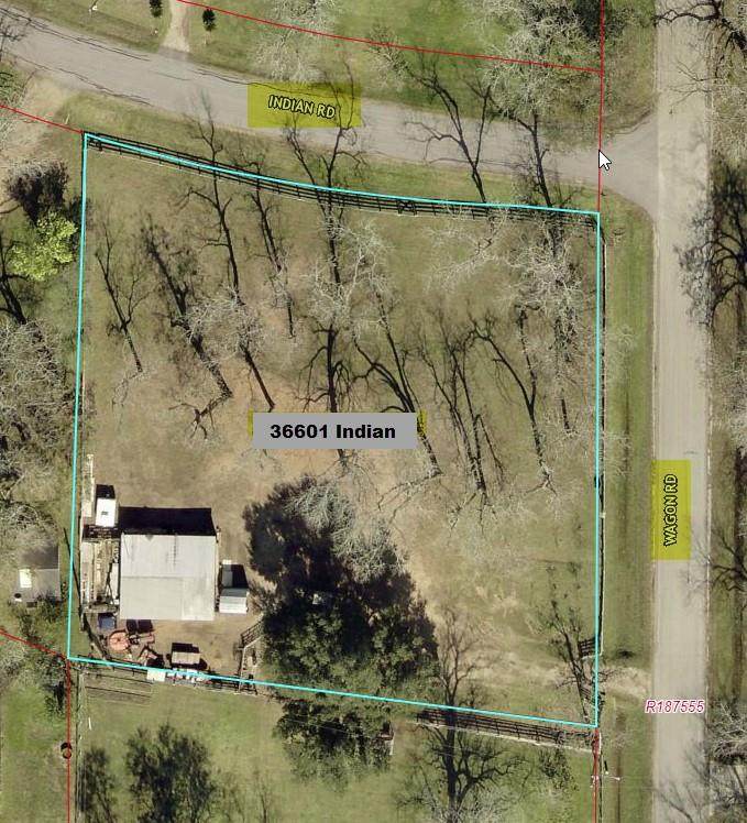 36601 Indian Road - Photo 1