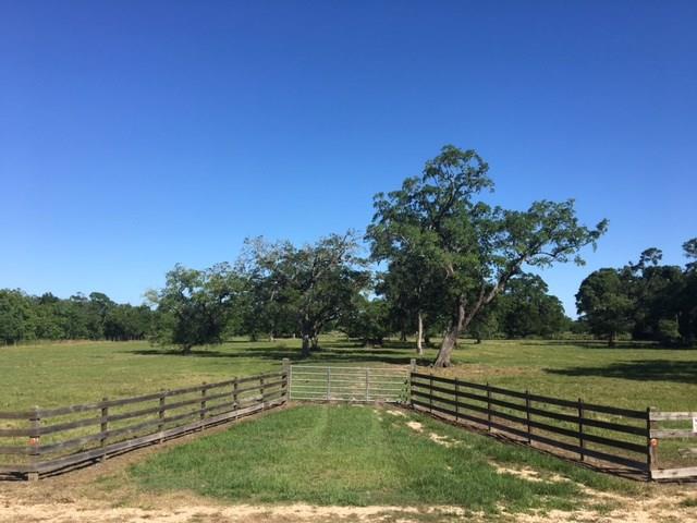 400 County Road 728B - Photo 1