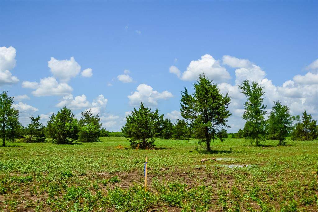 009 County Road 451 - Photo 1