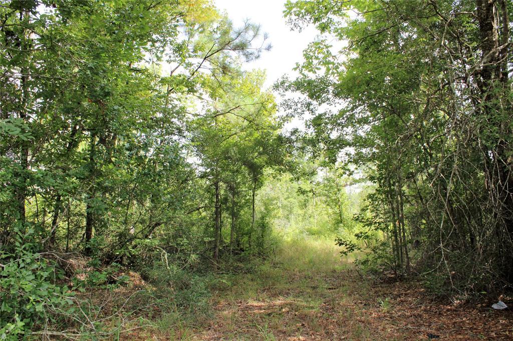 000 Hwy 190 - Photo 1