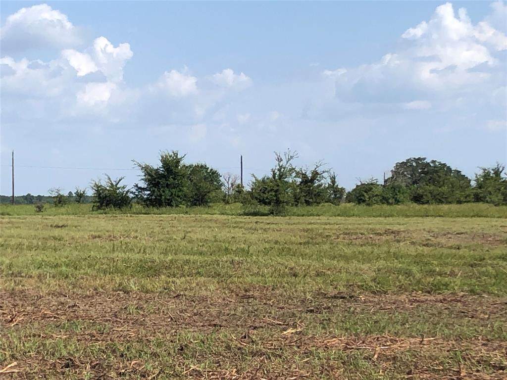 Lot 2 Fm 1696 - Photo 1