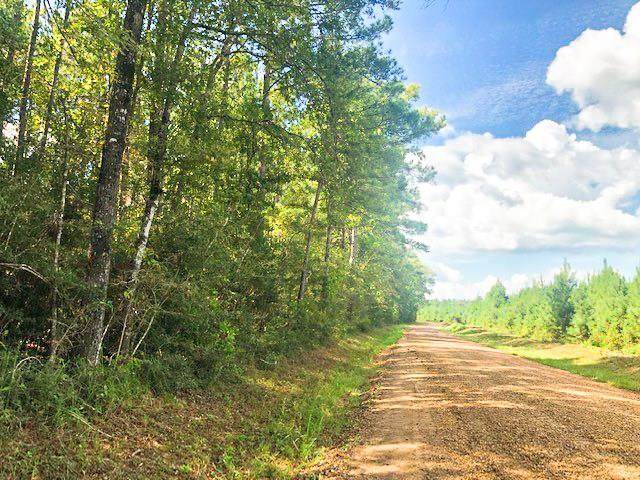 0000 Menard Chapel Rd - Photo 1