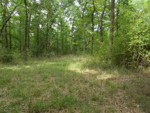 000 Tall Timber Rd Road - Photo 1