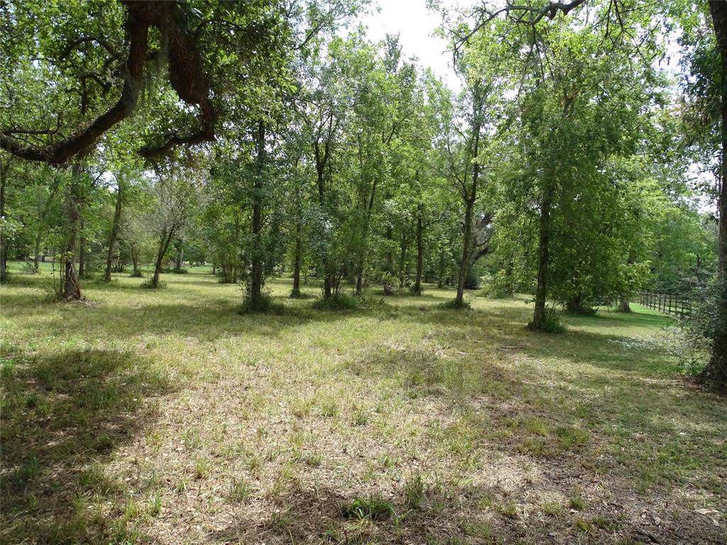 827 Comanche Trail Drive - Photo 1