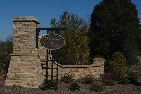 Lot 189 Myrtle Mae Drive - Photo 1