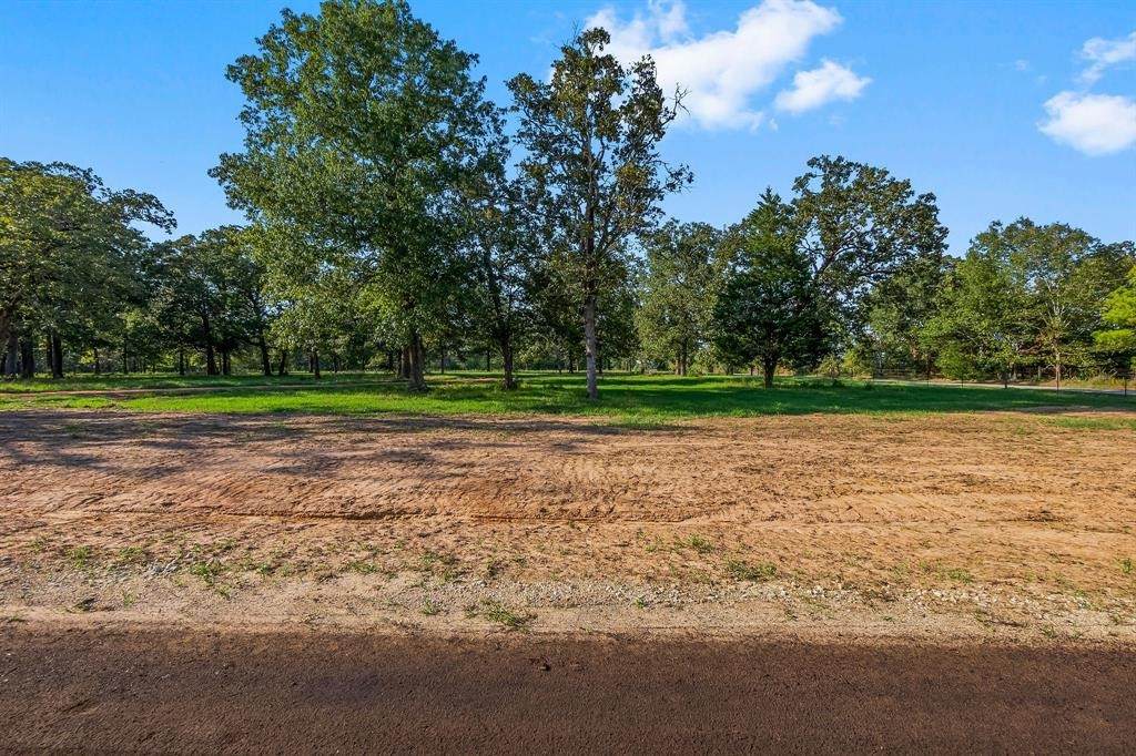 6159 Alans Memorial Lane - Photo 1
