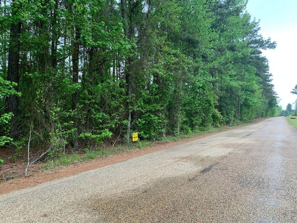 0 Jones Lake Road - Photo 1