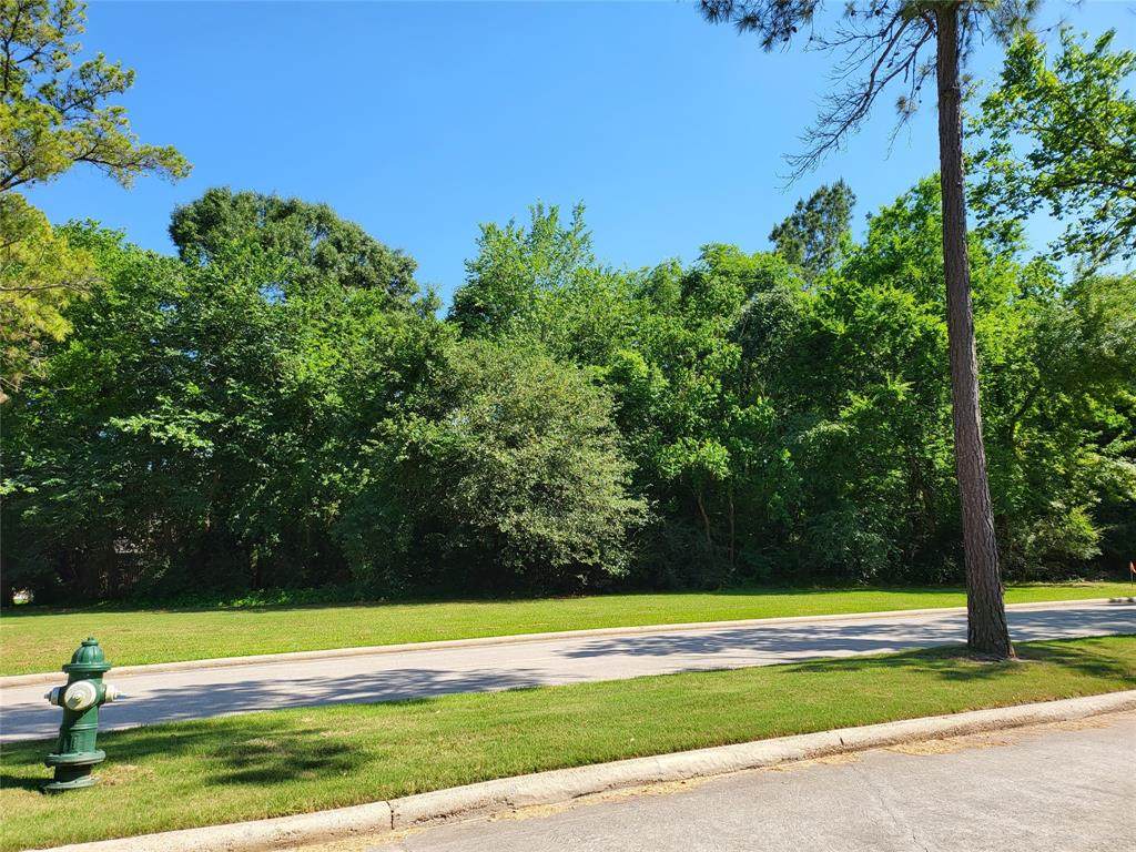 3007 Cedar Woods Place - Photo 1