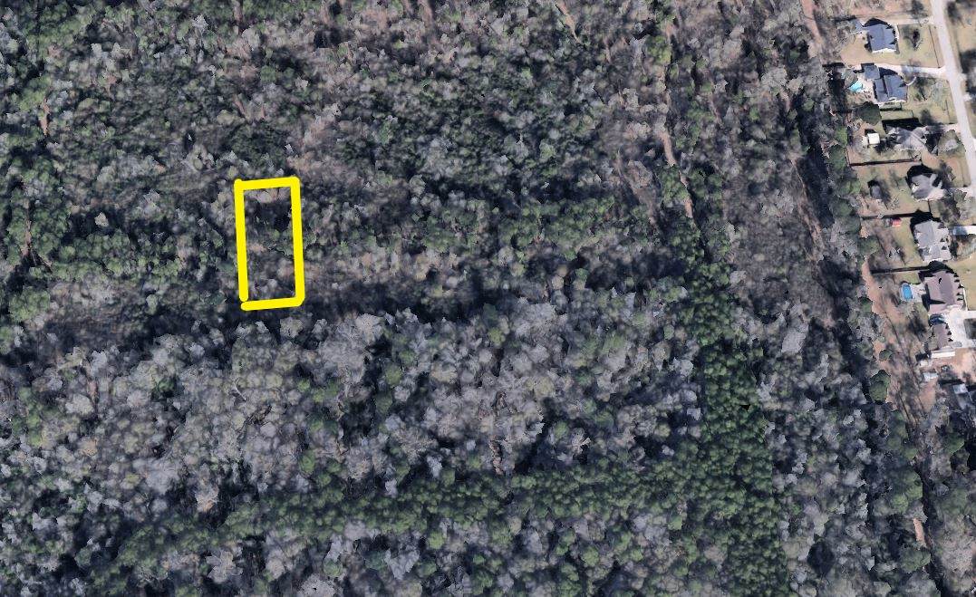 0000 Woodbranch Dr - Photo 1