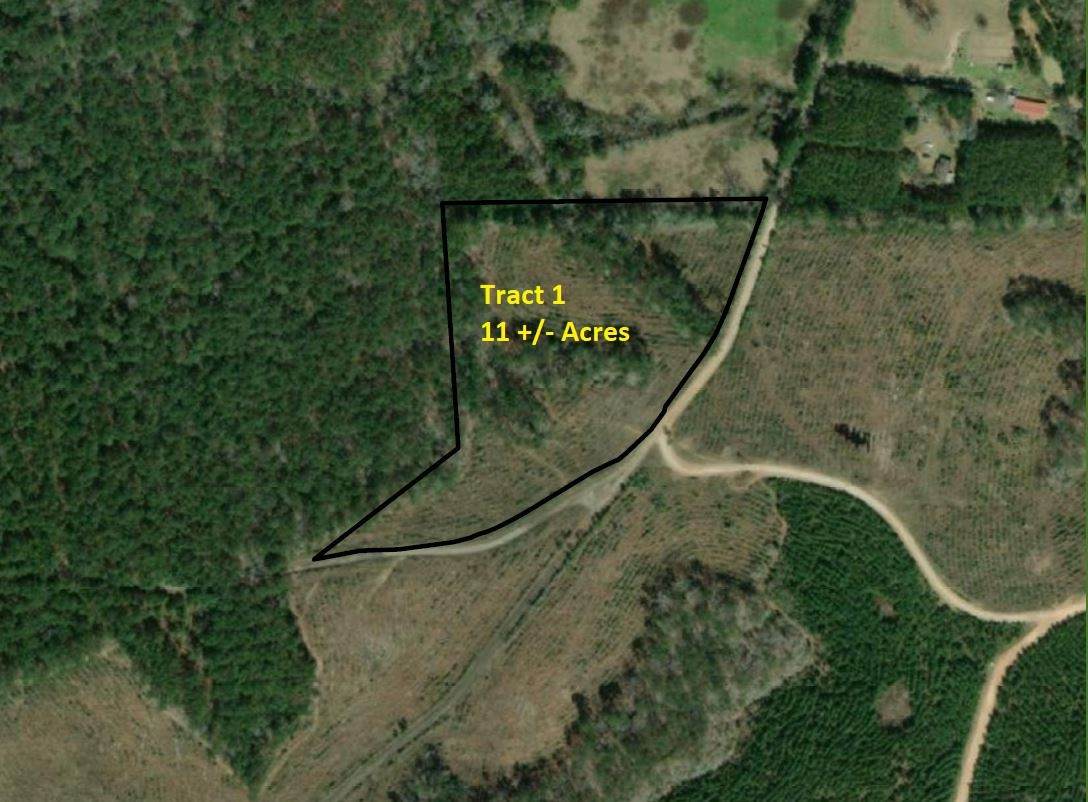 Tract 1 Denning Cr 255 - Photo 1