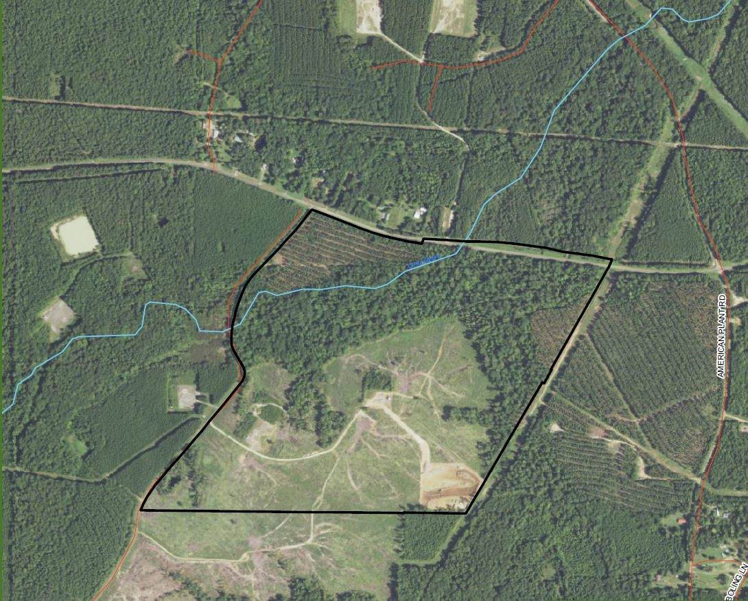 Tract 1 Strickland Fm 2625 - Photo 1