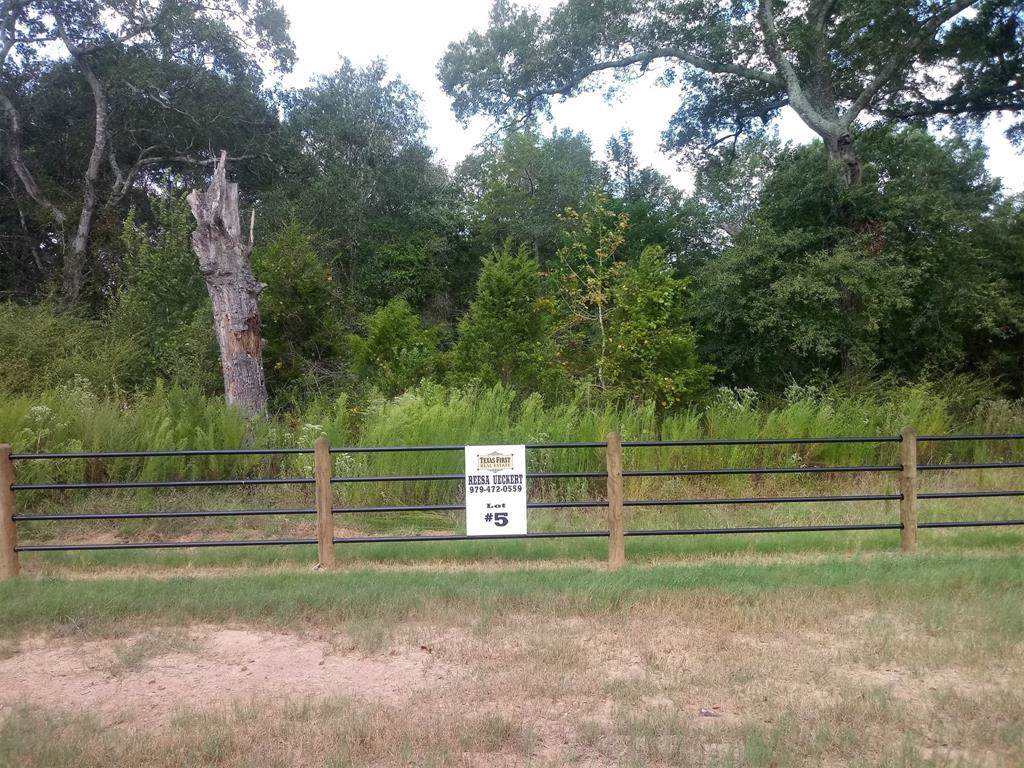 3709 Eli Road - Photo 1