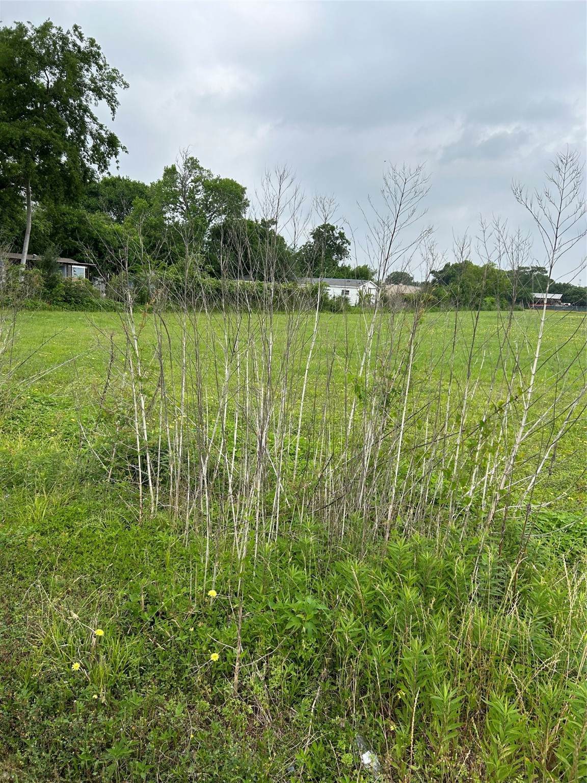 0 Bammel North Houston Road - Photo 1