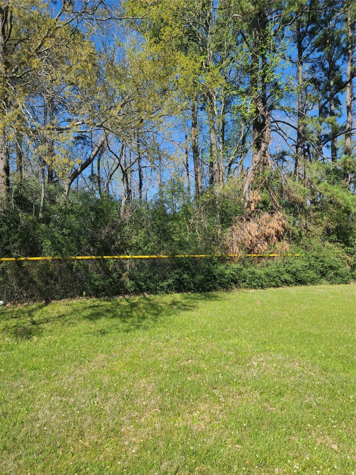 FM 1960 BUSINESS - Photo 1