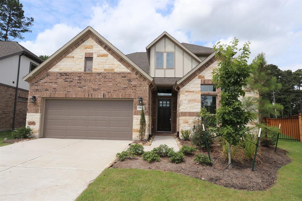 4302 Victoria Pine Drive - Photo 1