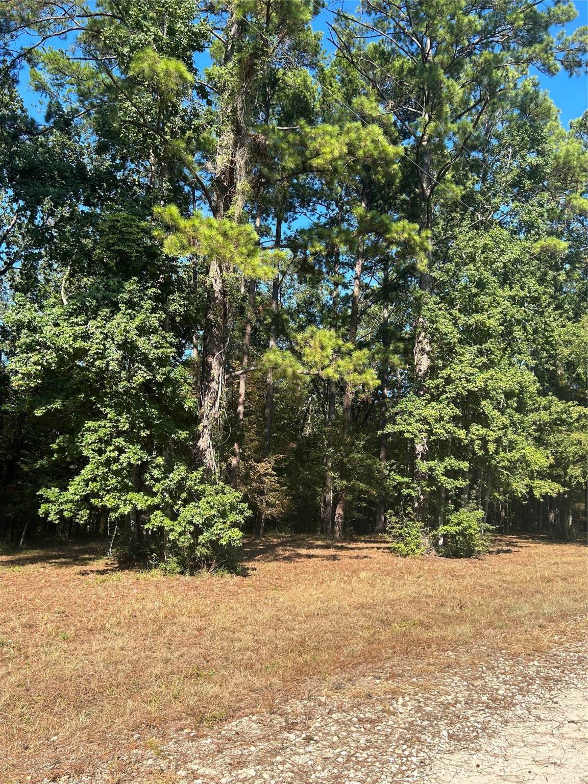 575859 Grand Pine Circle - Photo 1