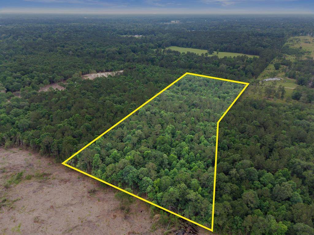 Tract 2 County Road 3813 - Photo 1