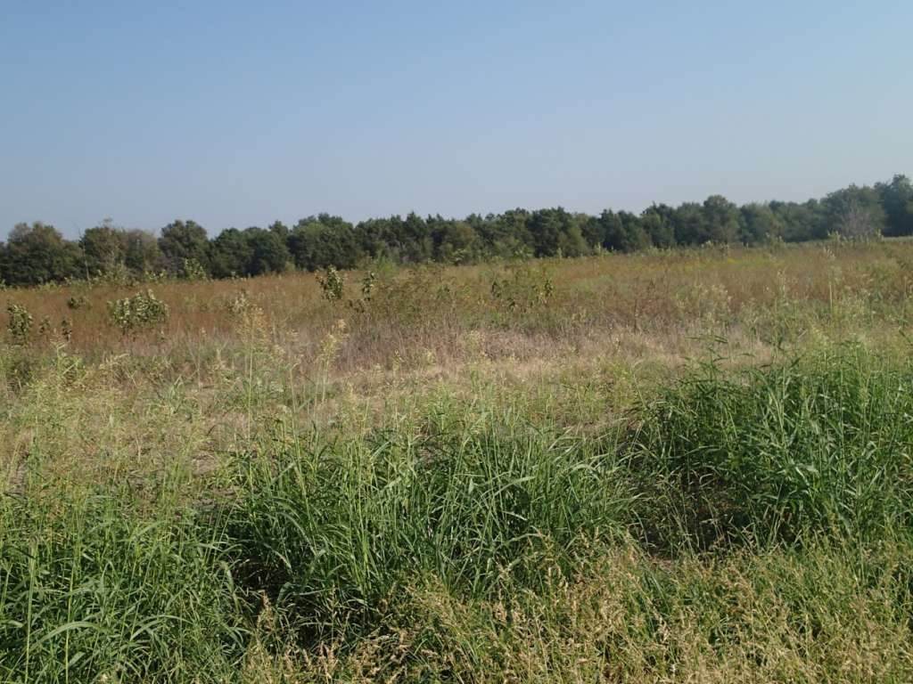 0 Overlook Loop Lot 56 Loop - Photo 1