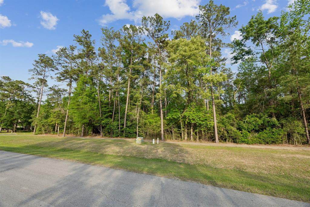 27322 Whispering Maple Way - Photo 1
