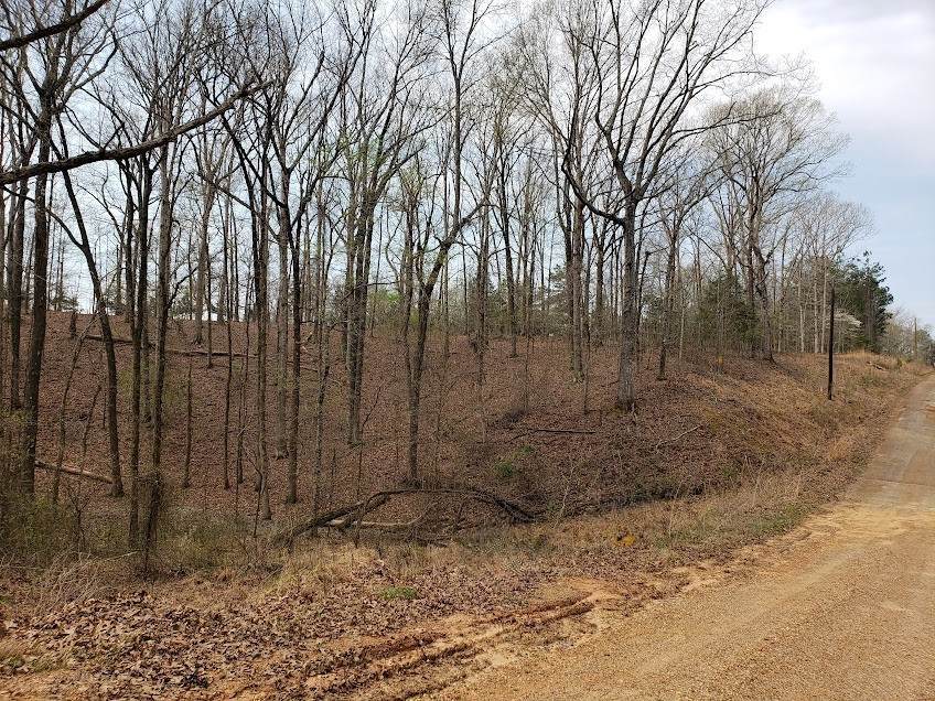 1172 Edgewood Drive - Photo 1