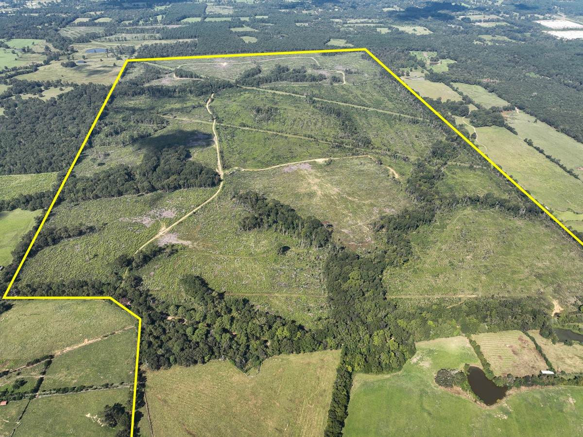 01 Cr 4916 - Photo 1