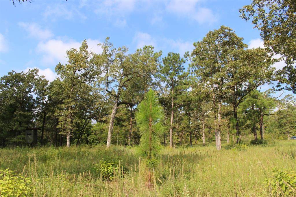 10 Ac Hwy 980 - Photo 1
