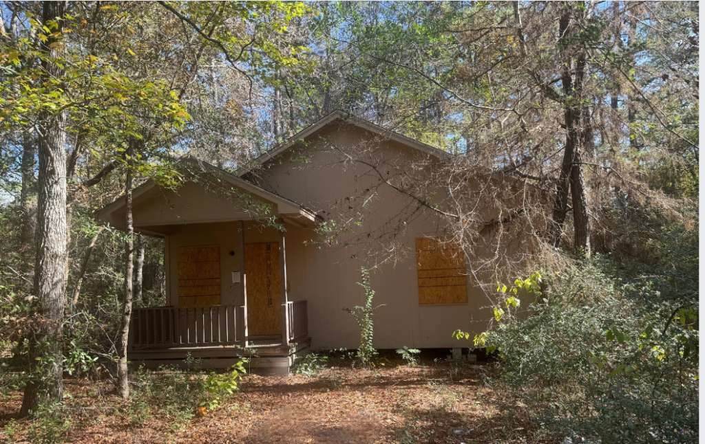 384 Sandy Lane - Photo 1