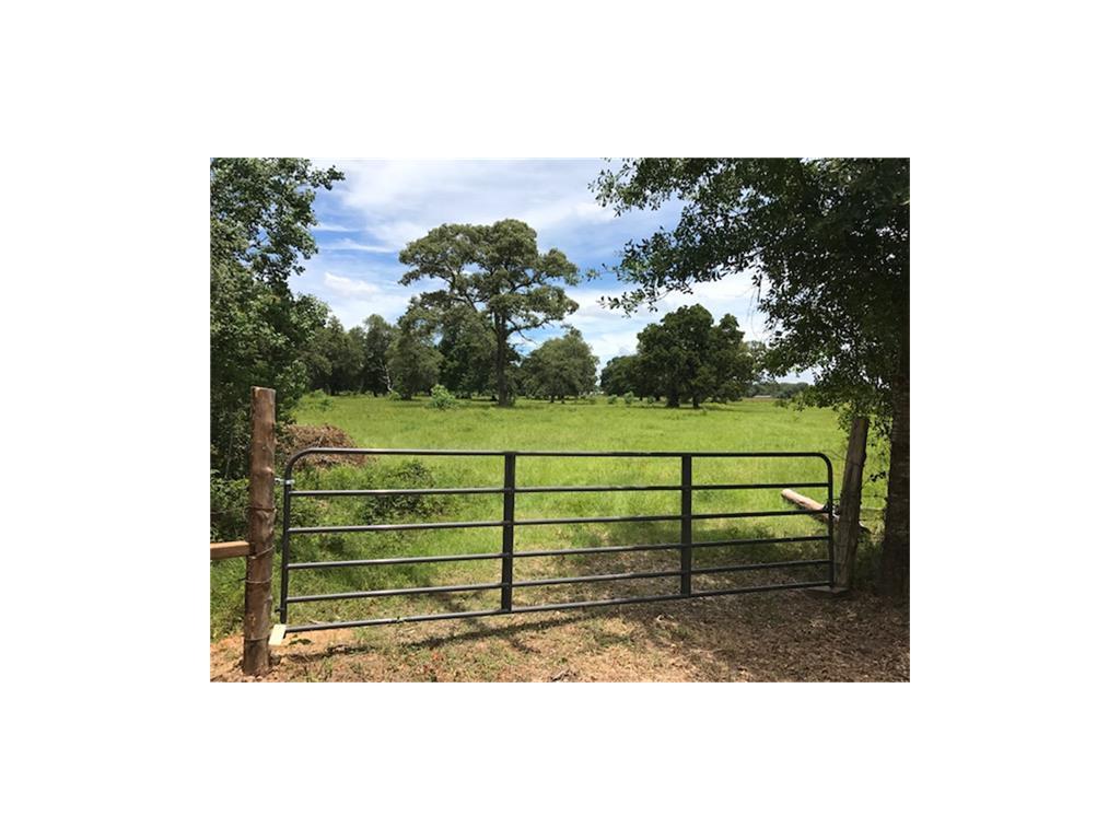 29700 Joseph Road - Photo 1