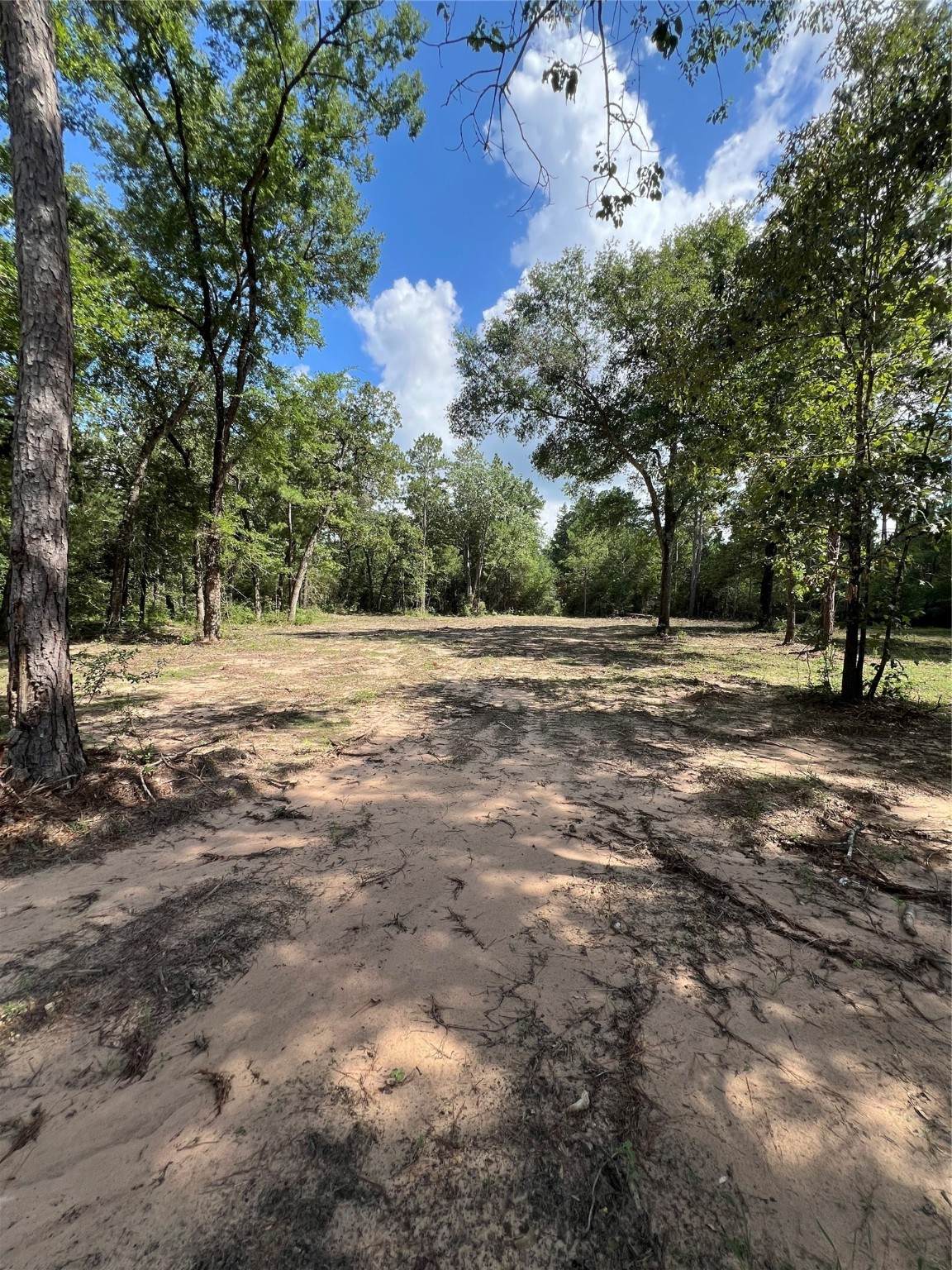 TBD Lot 2 Deerwood Drive - Photo 1