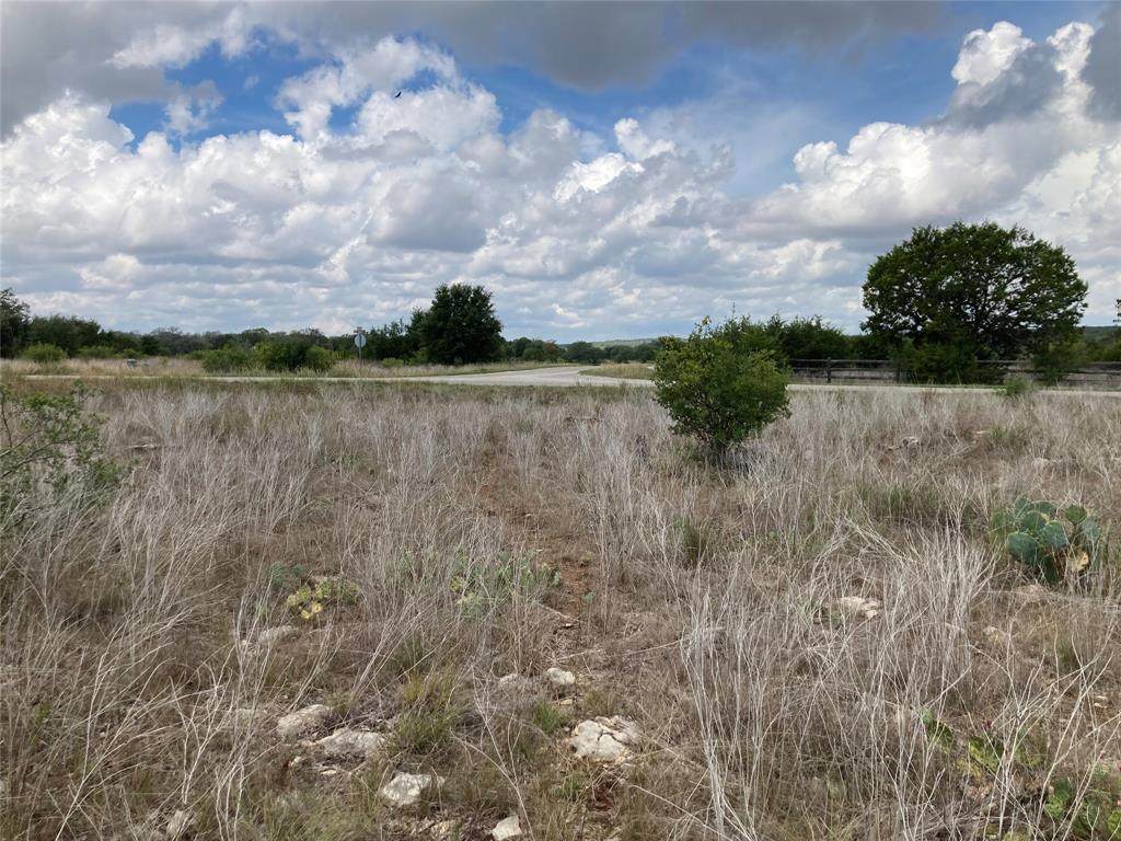 1000 Cave Springs Drive - Photo 1