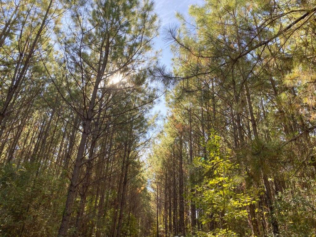 TBD Cr 1150 - Photo 1