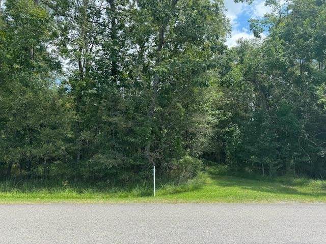 000 Pinewood - Photo 1