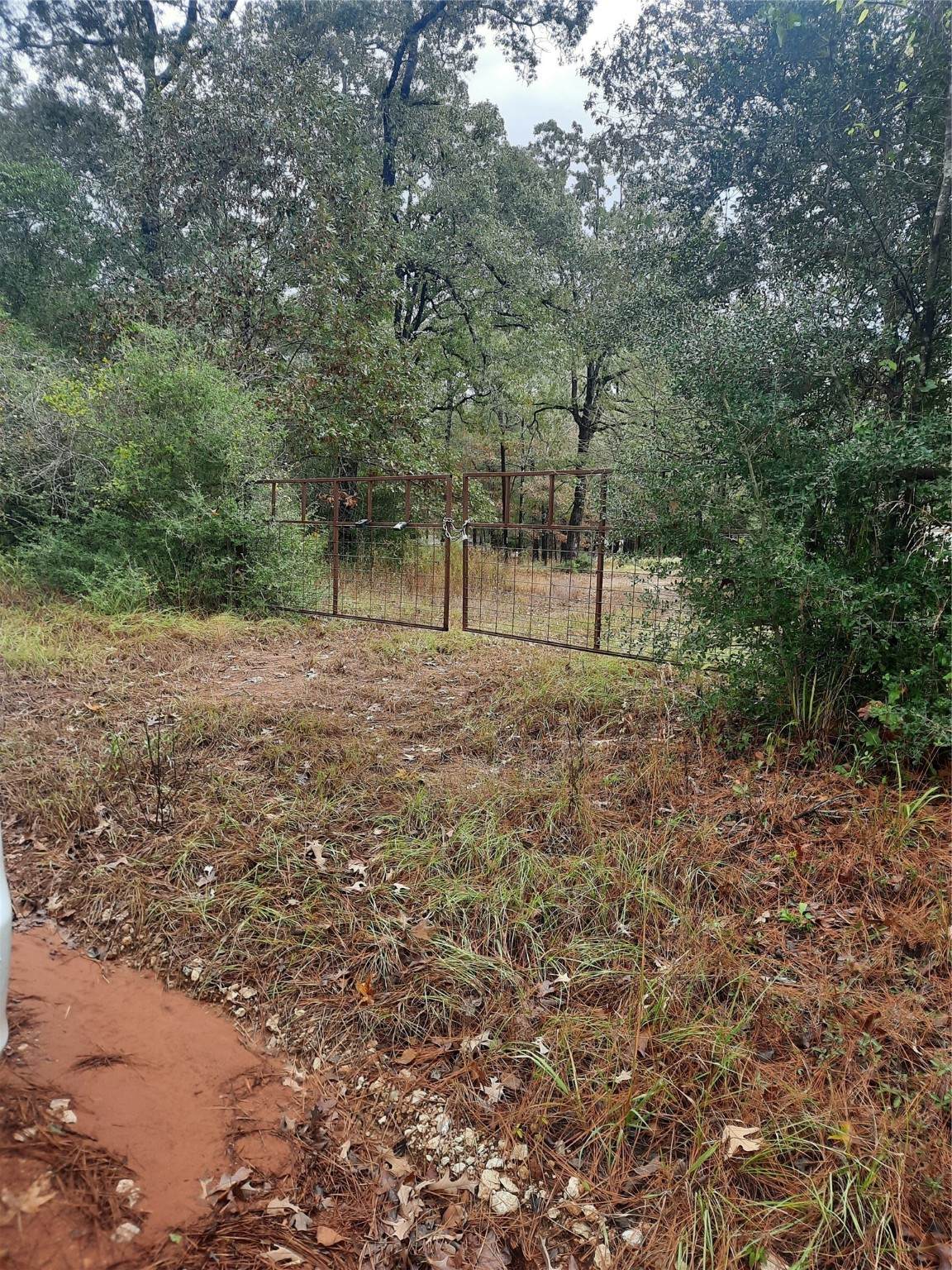 2900 County Road 3390 - Photo 1