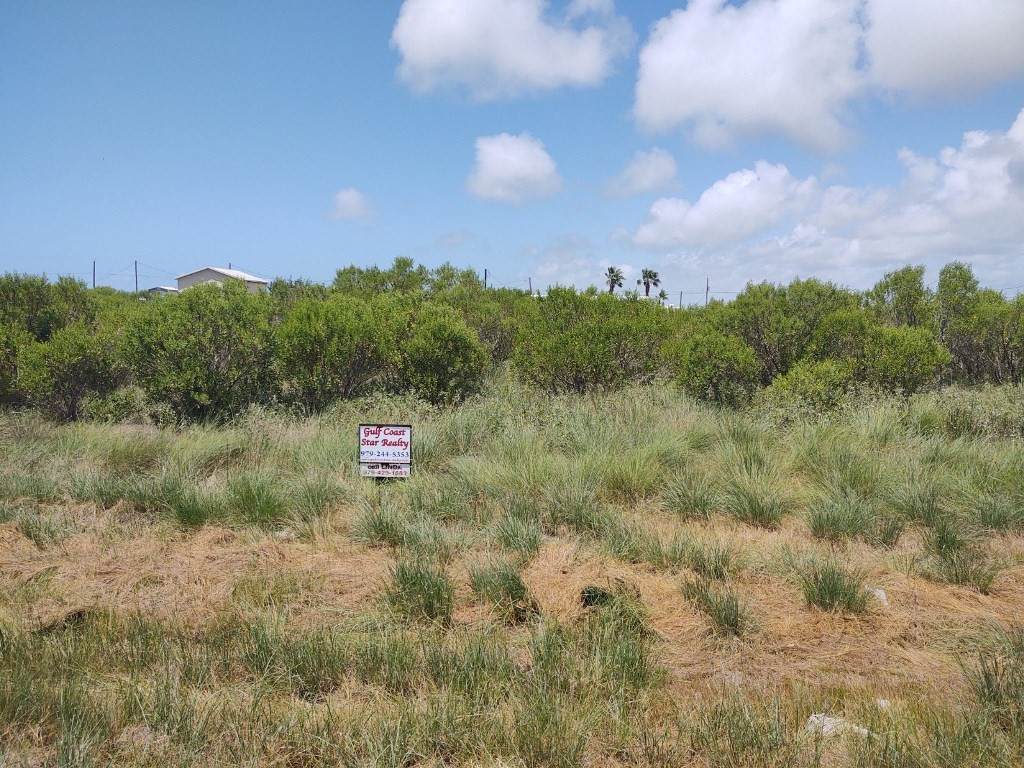 47 Fm 457 Sargent Highway - Photo 1