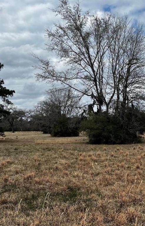 313 Dawns Edge - Photo 1