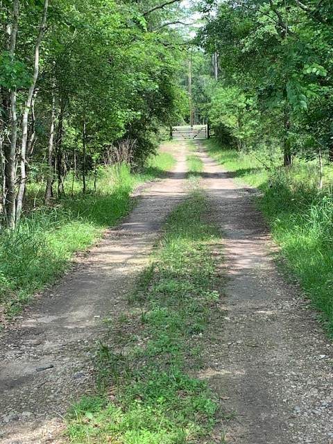 30227 Oak Lane - Photo 1