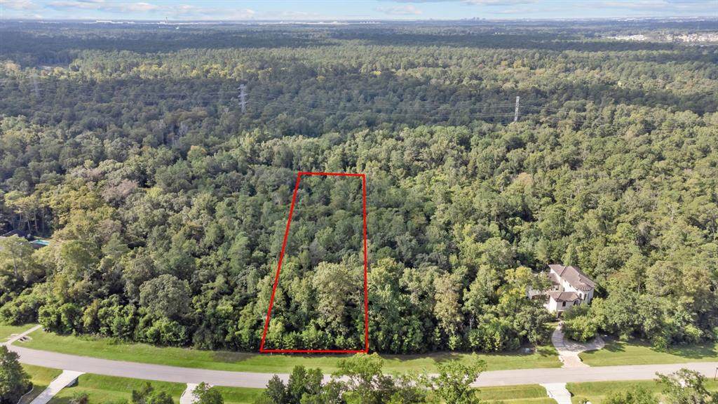 27338 Shady Hills Landing Lane - Photo 1