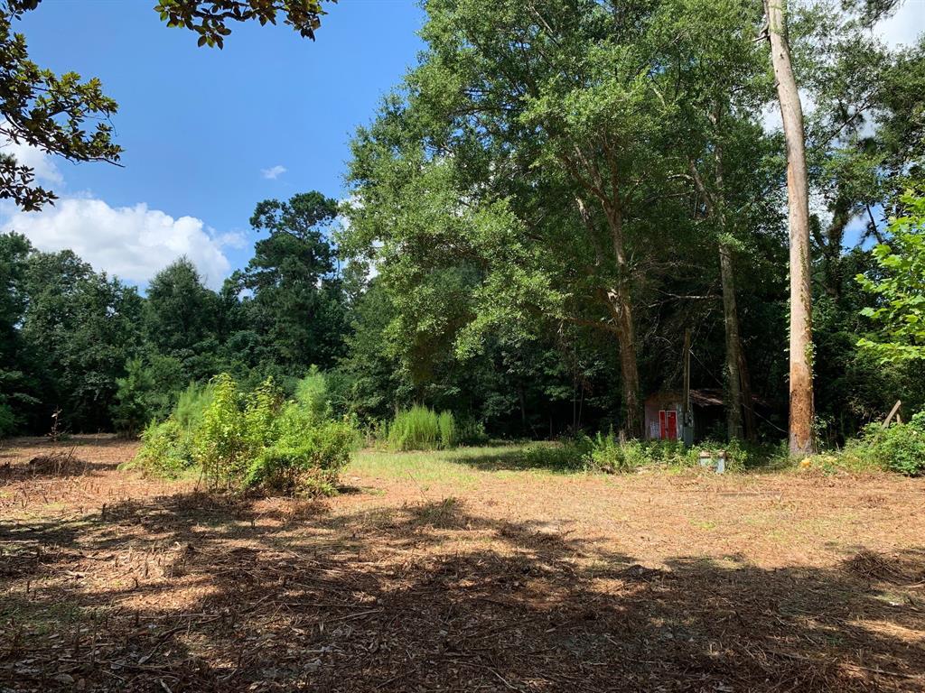 248 Cypress Street - Photo 1