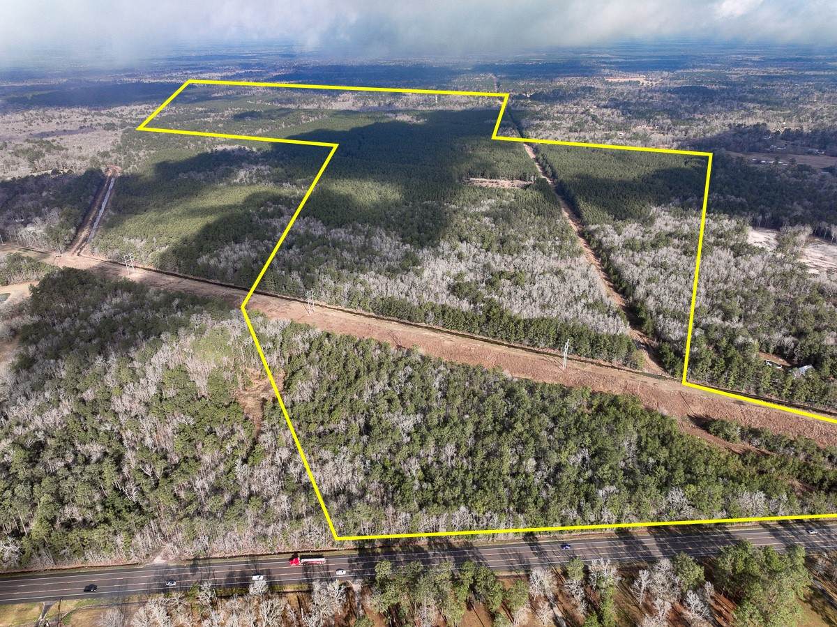 0 Highway 12/ Linscomb Road - Photo 1