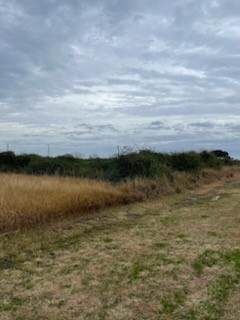 511 Serene Drive - Photo 1