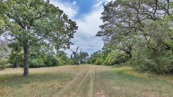 0 County Road 259 - Photo 1