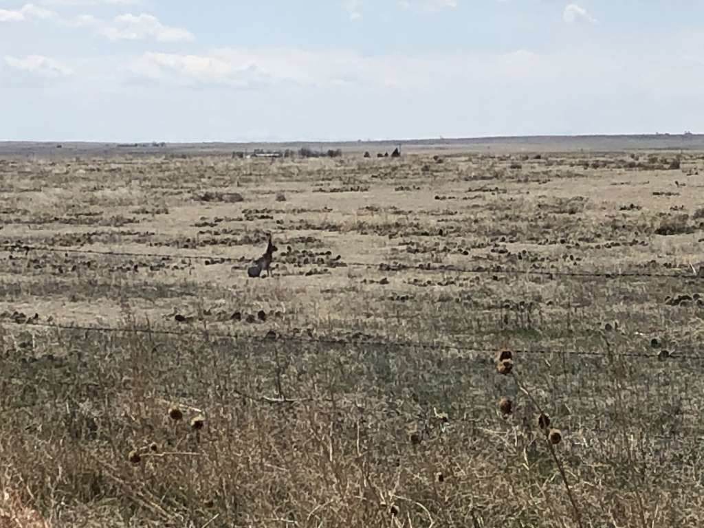 0 Wcr 85, Briggsdale - Photo 1