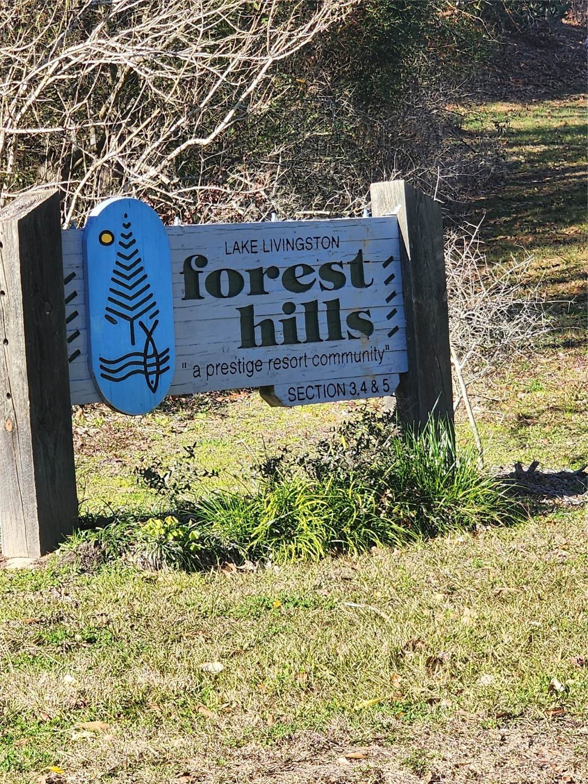 Lot 425 Echo Hills Lane - Photo 1