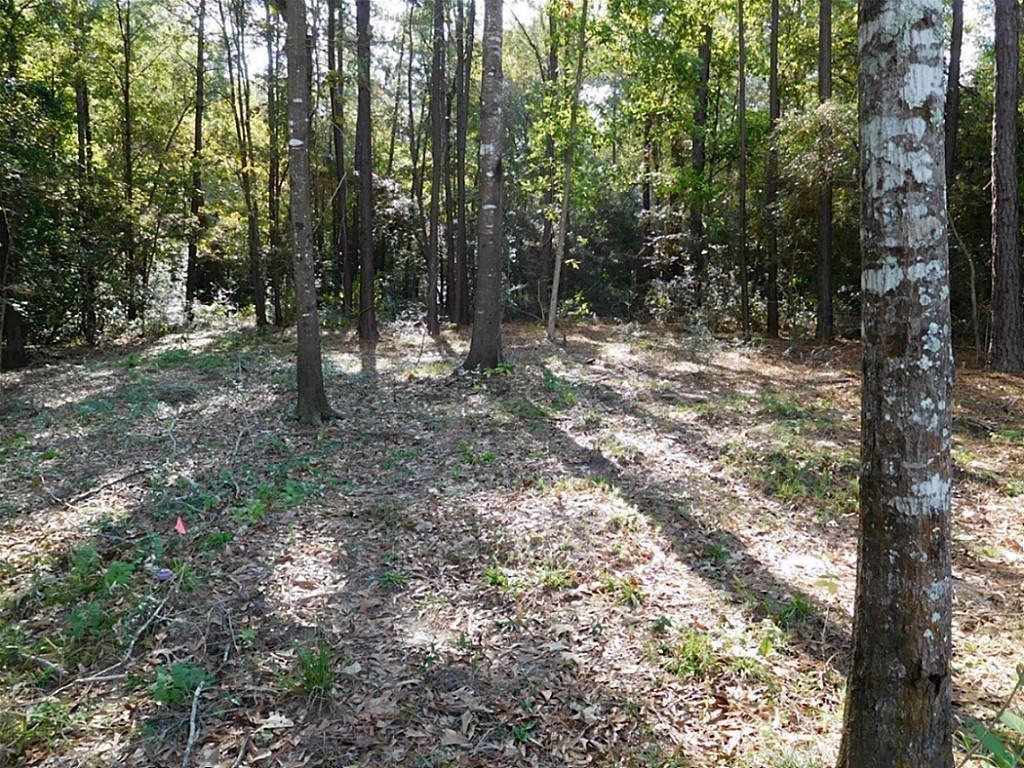 9600 Longmire Creek Way - Photo 1
