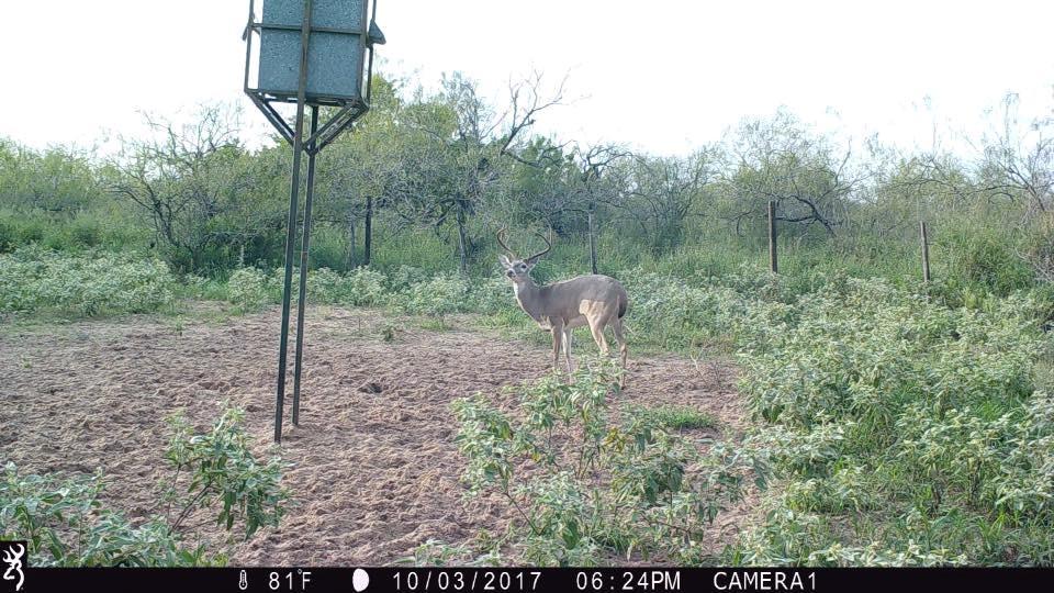 0000 305 COUNTY RD - Photo 1