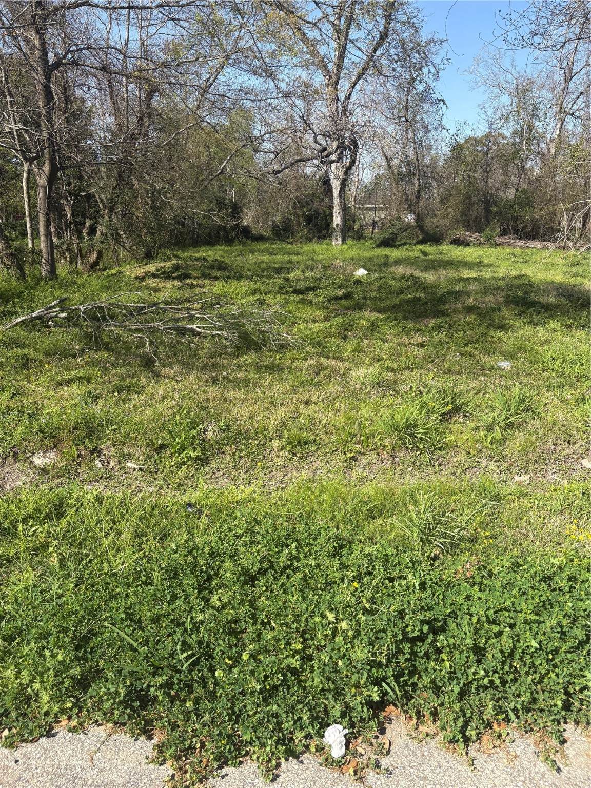 1043 Lincoln Street - Photo 1
