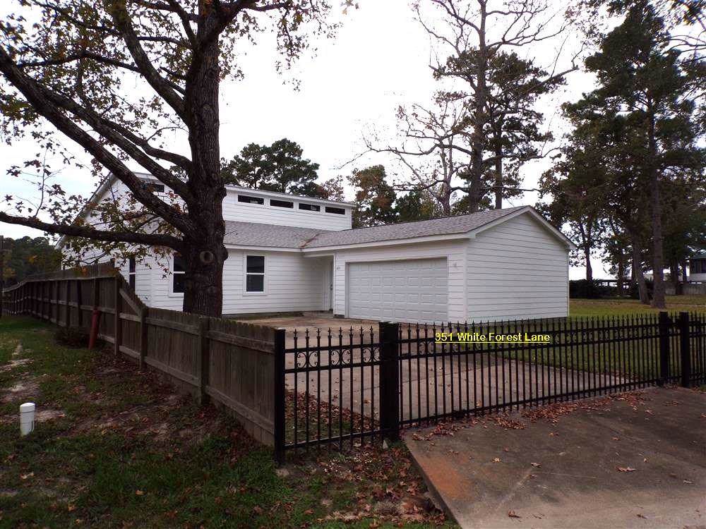 351 White Forest Lane - Photo 1