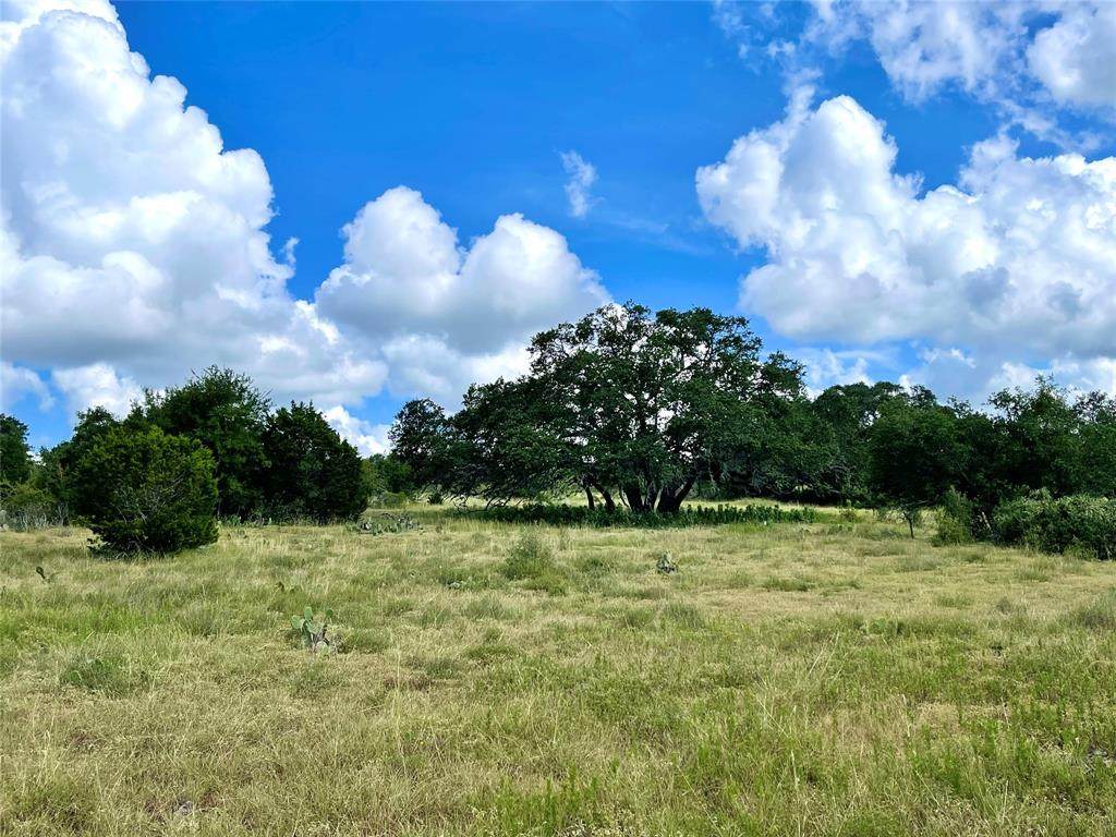 3035 Bridlewood Ranches Drive - Photo 1